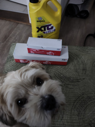 IMG 20251030 120503047 HDR