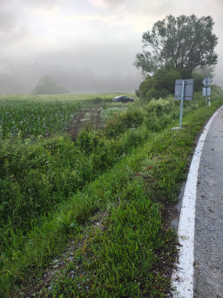 IMG 20260616 051439834 HDR